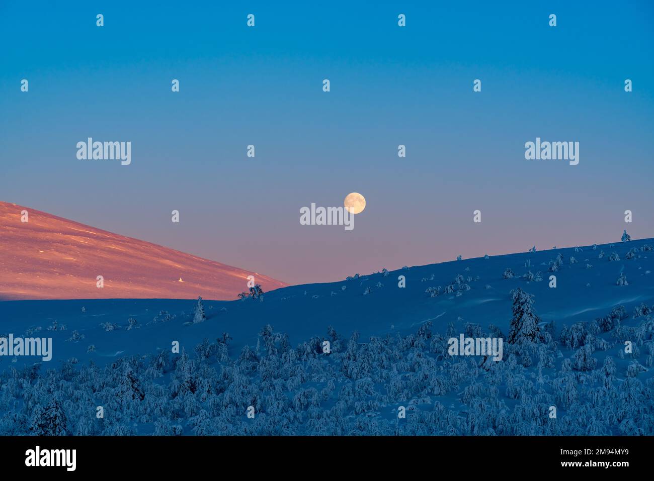 Scendi la luna al mattino all'alba al Parco Nazionale Pallas-Yllästunturi, Muonio, Lapponia, Finlandia Foto Stock