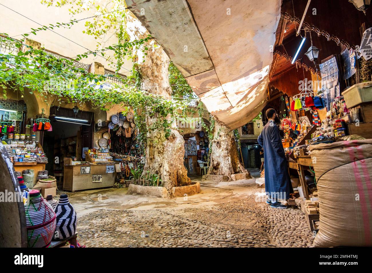 Cortile verde con negozi di prodotti marocchini tradizionali a Fes, Marocco, Nord Africa Foto Stock