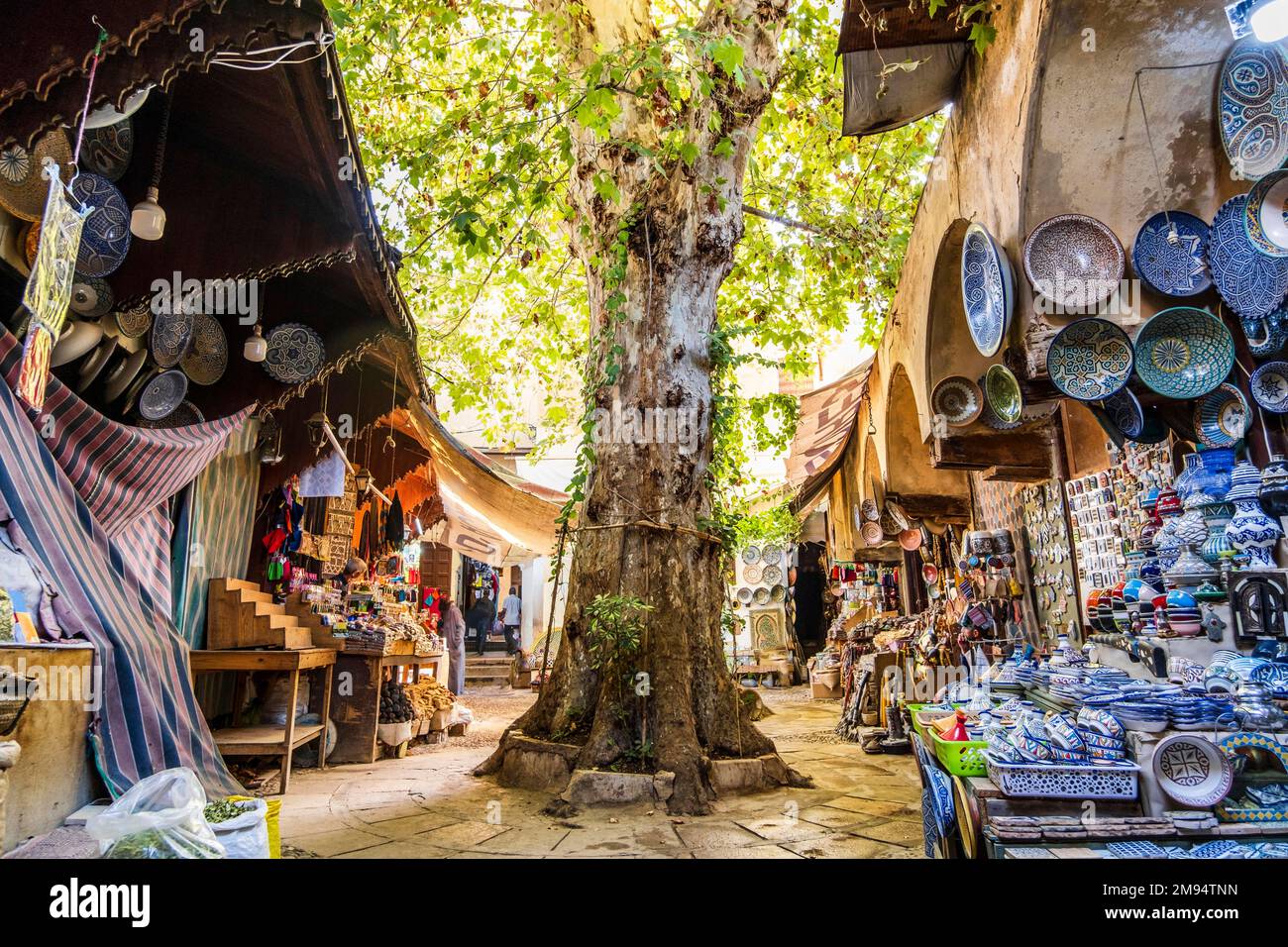 Cortile verde con negozi di prodotti marocchini tradizionali a Fes, Marocco, Nord Africa Foto Stock