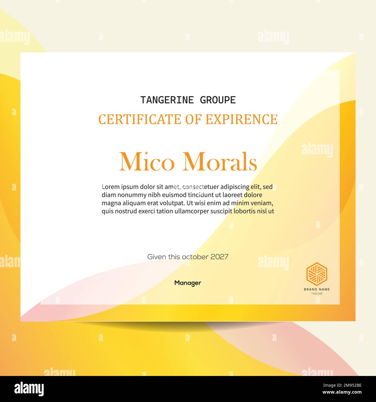 Design vettoriale modello di lettera per un'esperienza creativa e moderna Illustrazione Vettoriale