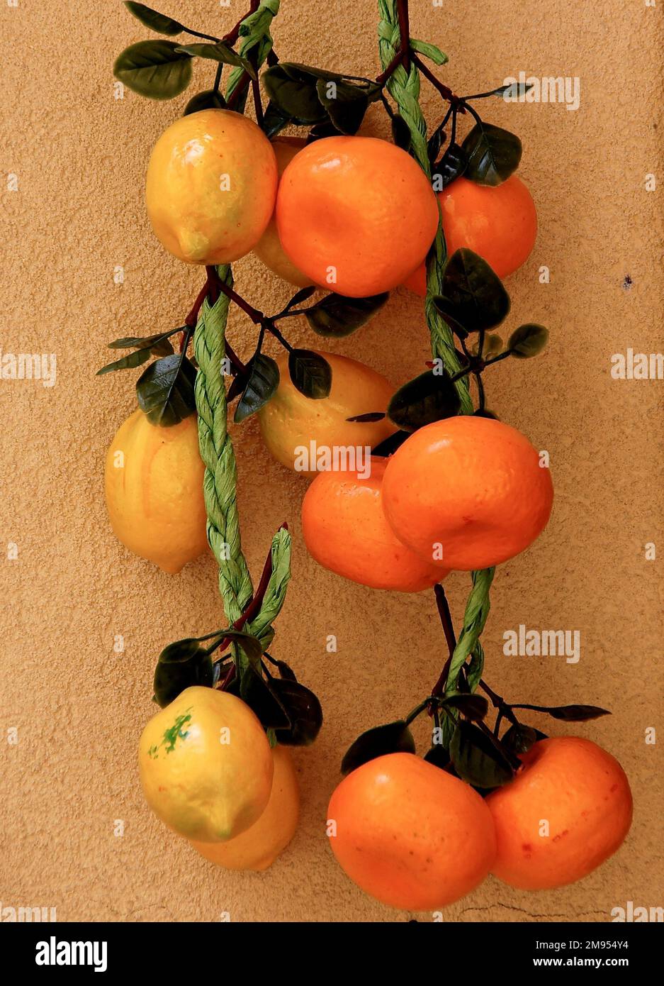 Collezione di arance e limoni intrecciati insieme nel design Foto Stock