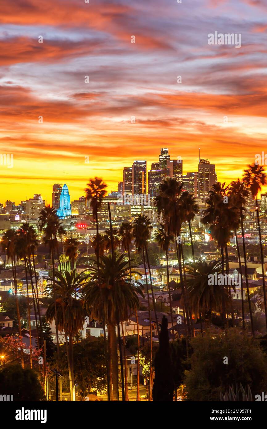 Vista dello skyline del centro di Los Angeles con palme al tramonto formato ritratto di viaggio in California Stati Uniti Foto Stock