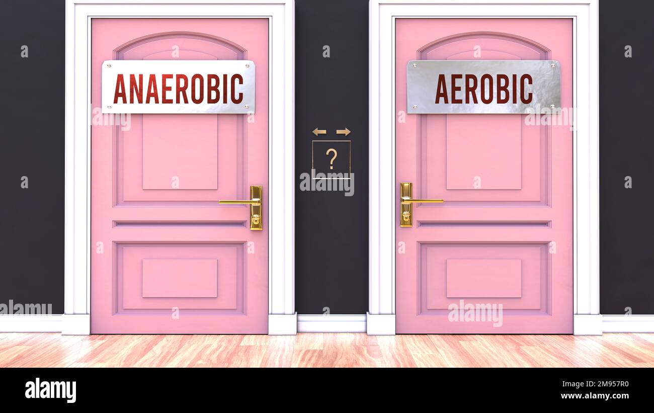 Anaerobico o aerobico - prendendo la decisione scegliendo una o l'altra opzione. Due alaternative mostrate come porte che portano a risultati diversi.,3D illustrazione Foto Stock