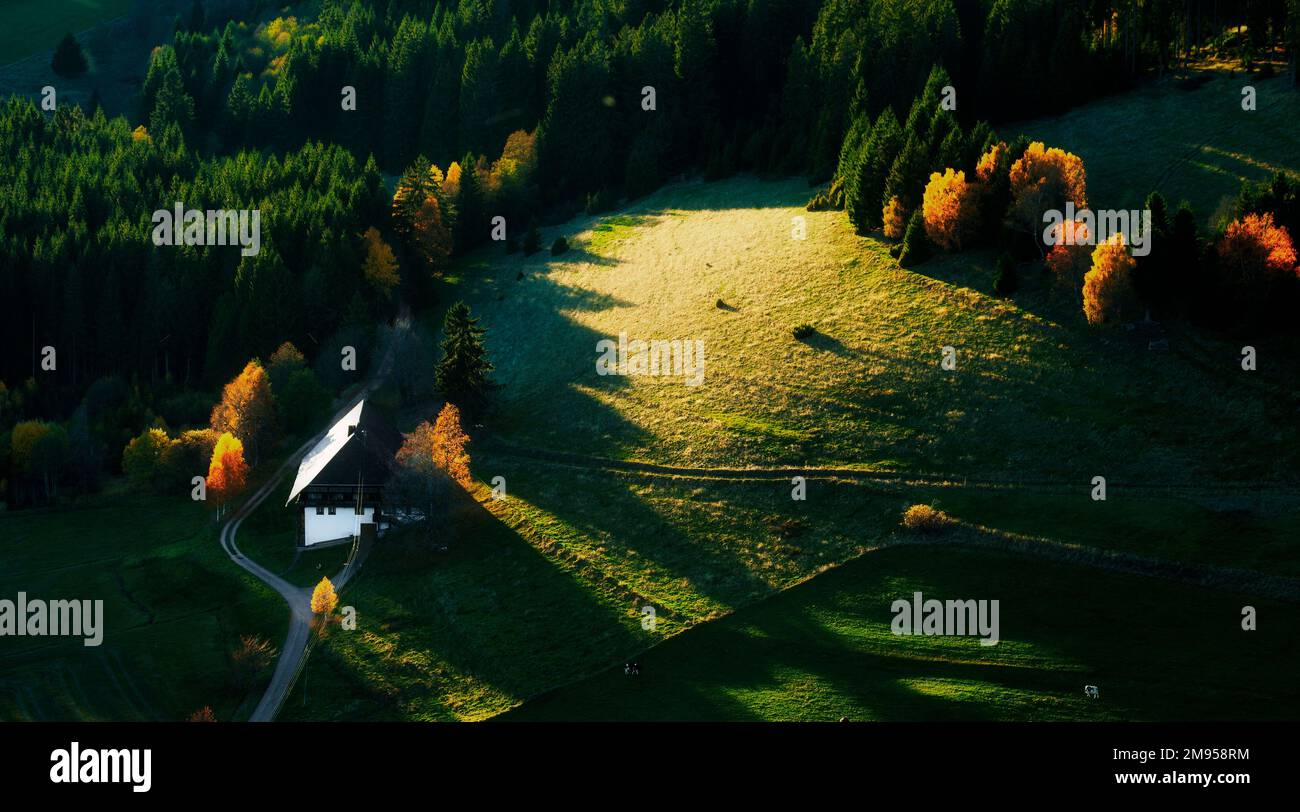 Einsames Bauernhaus im Schwarzwald Foto Stock