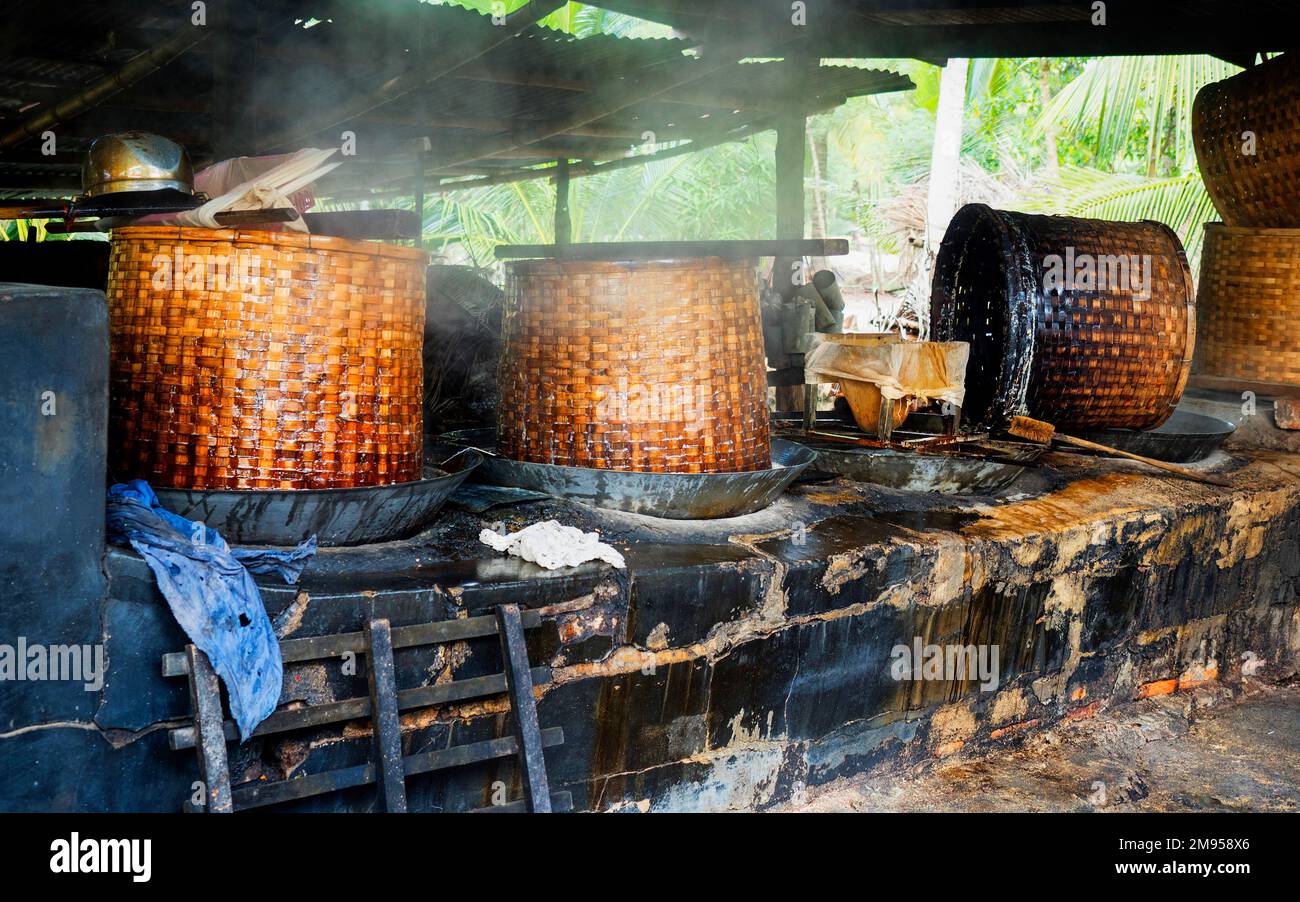 Produzione di sciroppo di fiori di cocco, ottenuto per evaporazione, utilizzato come dolcificante, Amphoe Amphawa, Provincia di Samut Songkhram, Thailandia, Asia Foto Stock