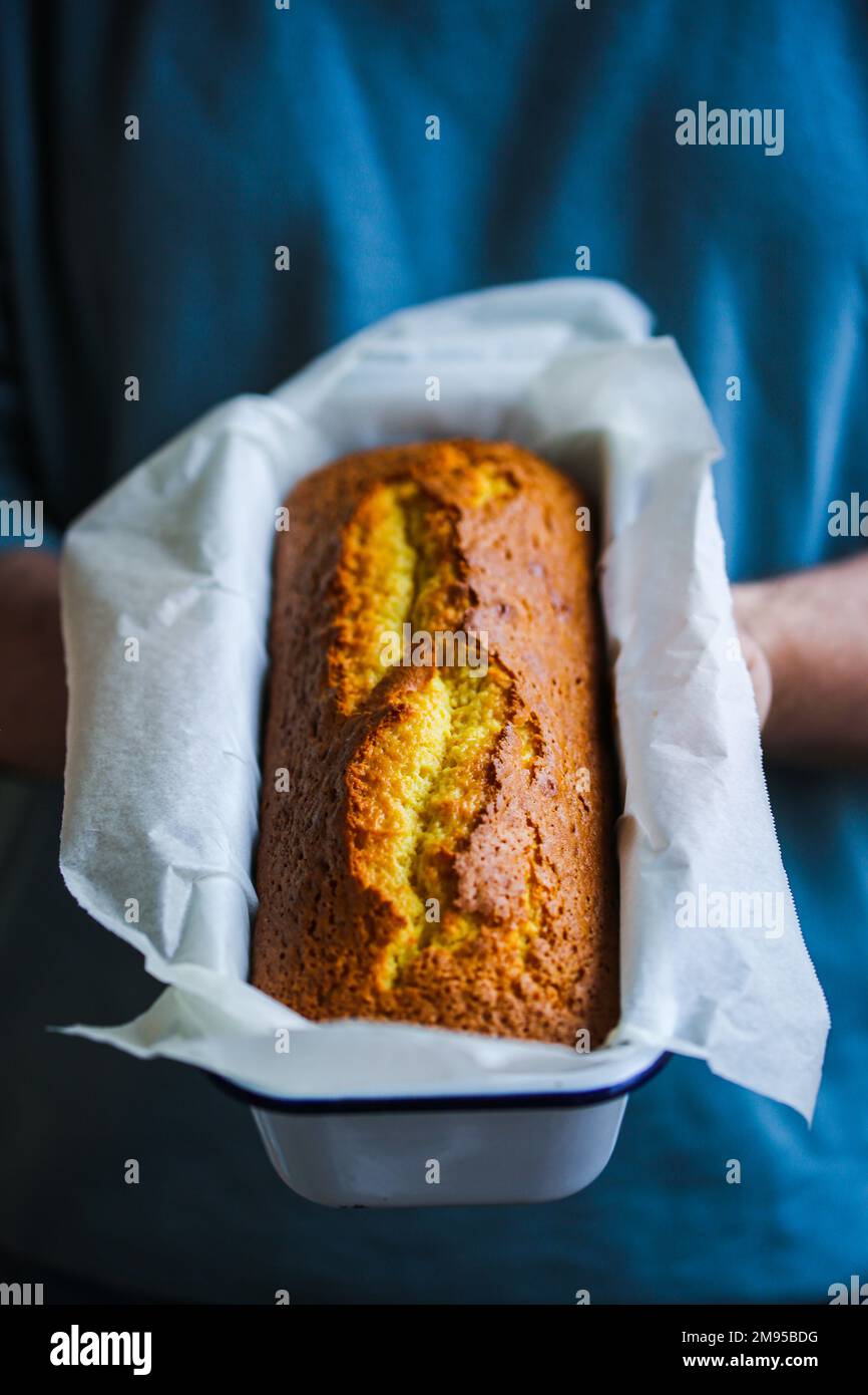 Torta alla vaniglia agli agrumi con yogurt al cocco Foto Stock