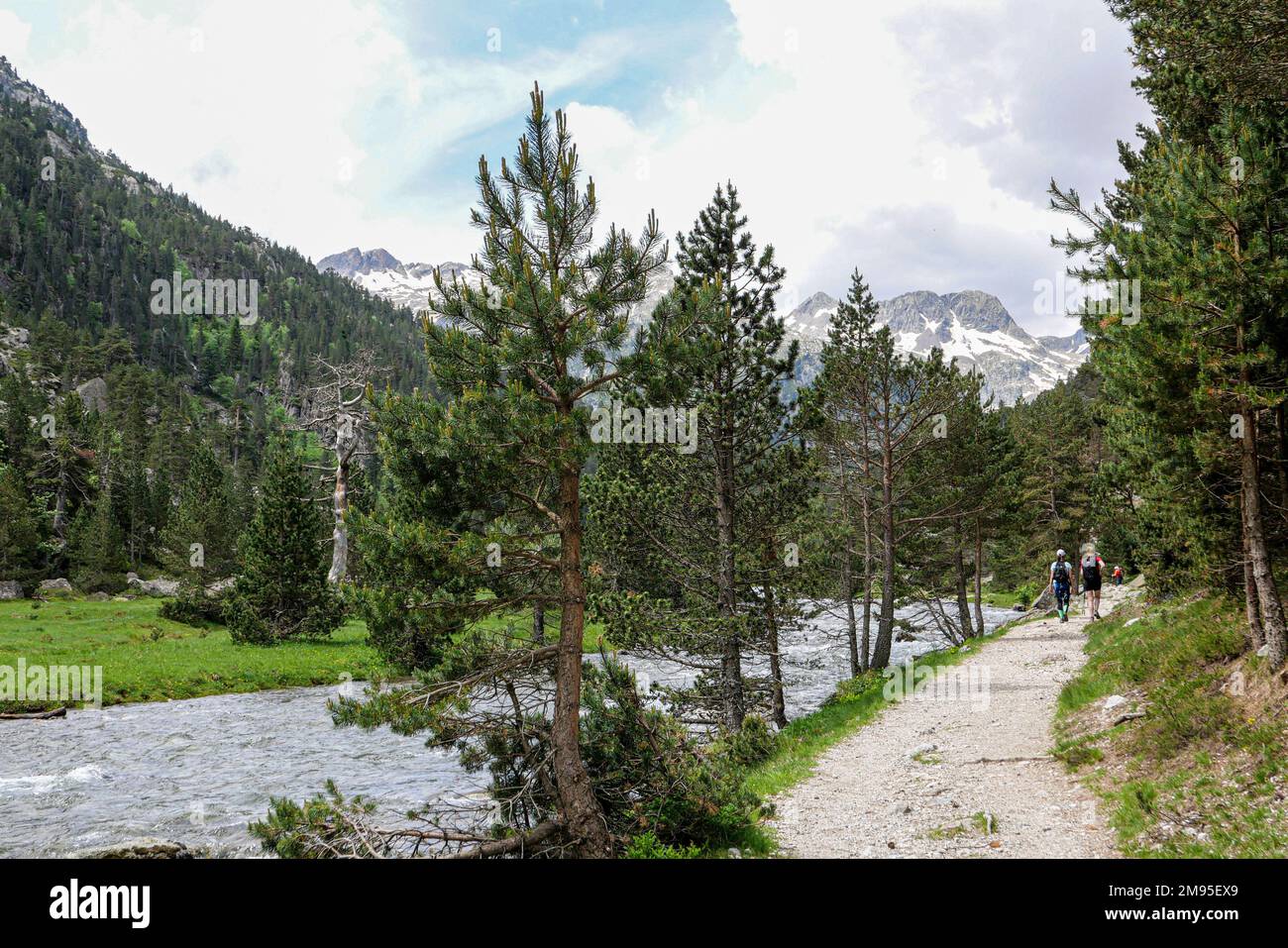 Dipartimento degli alti Pirenei (Pirenei alti, Francia sud-occidentale): Paesaggio montano del massiccio di Gaube. Qui, il torrente di montagna “Gave du Marcadau Foto Stock