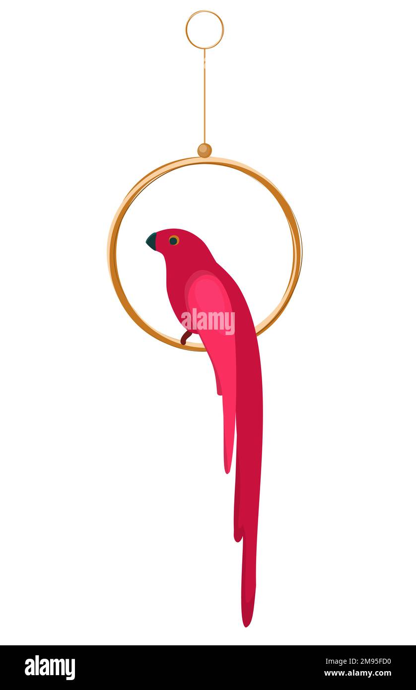 Pappagallo su un persico. Un pappagallo rosa si siede su un anello. Pollame. Illustrazione con isolamento vettoriale. Illustrazione Vettoriale