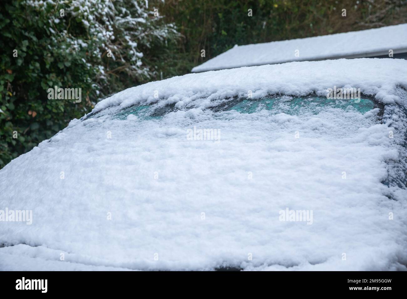 Truro, UK, 17th gennaio 2023, questa mattina c'era un'abbondante copertura di neve in un giardino a Truro, in Cornovaglia, cosa insolita per la zona. Le scuole locali hanno ritardato l'apertura e alcune sono chiuse a causa delle condizioni del ghiaccio. La previsione è per una temperatura massima di 5C tutto il giorno con ulteriori docce di neve più tardi oggi o questa sera.Credit: Keith Larby/Alamy Live News Foto Stock