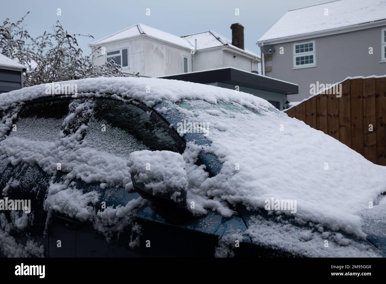 Truro, UK, 17th gennaio 2023, questa mattina c'era un'abbondante copertura di neve in un giardino a Truro, in Cornovaglia, cosa insolita per la zona. Le scuole locali hanno ritardato l'apertura e alcune sono chiuse a causa delle condizioni del ghiaccio. La previsione è per una temperatura massima di 5C tutto il giorno con ulteriori docce di neve più tardi oggi o questa sera.Credit: Keith Larby/Alamy Live News Foto Stock