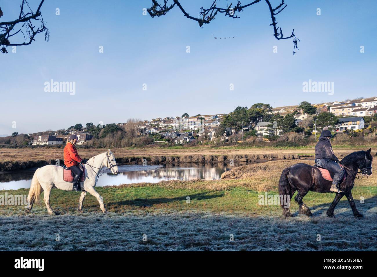 Cavalieri a cavallo lungo l'estuario Gannel con bassa marea a Newquay in Cornovaglia nel Regno Unito. Foto Stock