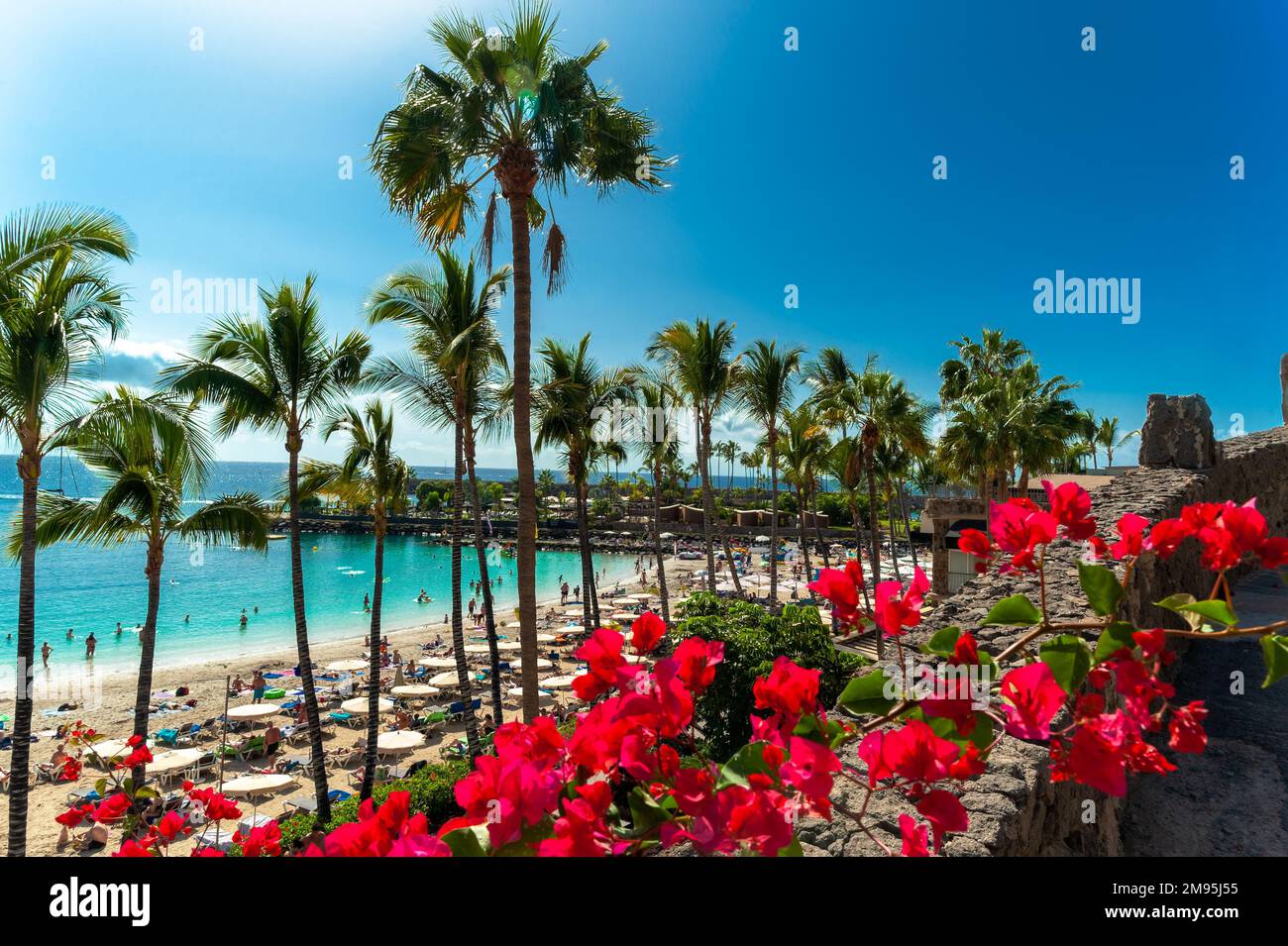 Bellissimo paesaggio di Anfi del Mar playa circondato da fiori rossi e palme nelle vacanze estive, Gran Canaria, Spagna Foto Stock