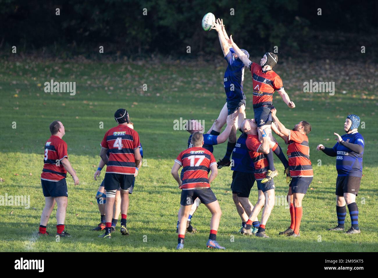 gioco di rugby, sport di squadra Foto Stock