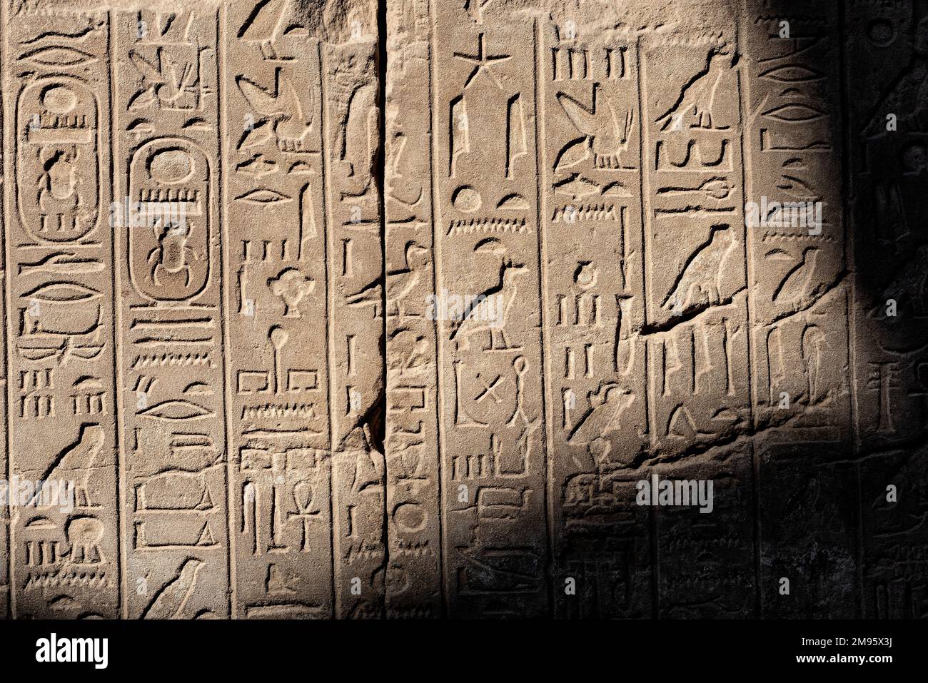 Antica pietra egiziana cartouche geroglifico particolare rilievo al tempio di Karnak, Luxor. Egitto. Foto Stock