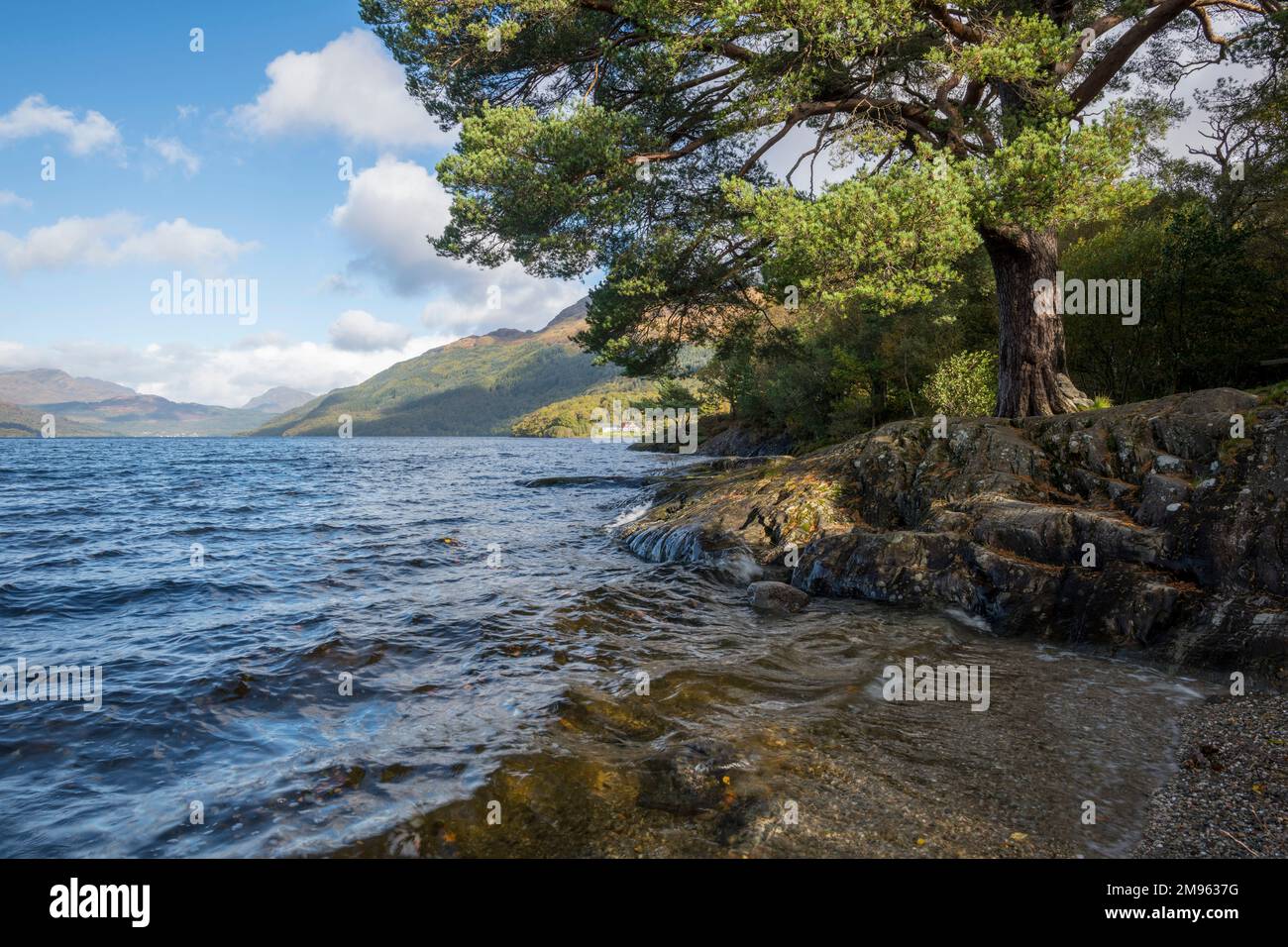 Loch Lomond vicino a Rowardennan, Loch Lomond e Trossachs National Park, Scozia Foto Stock