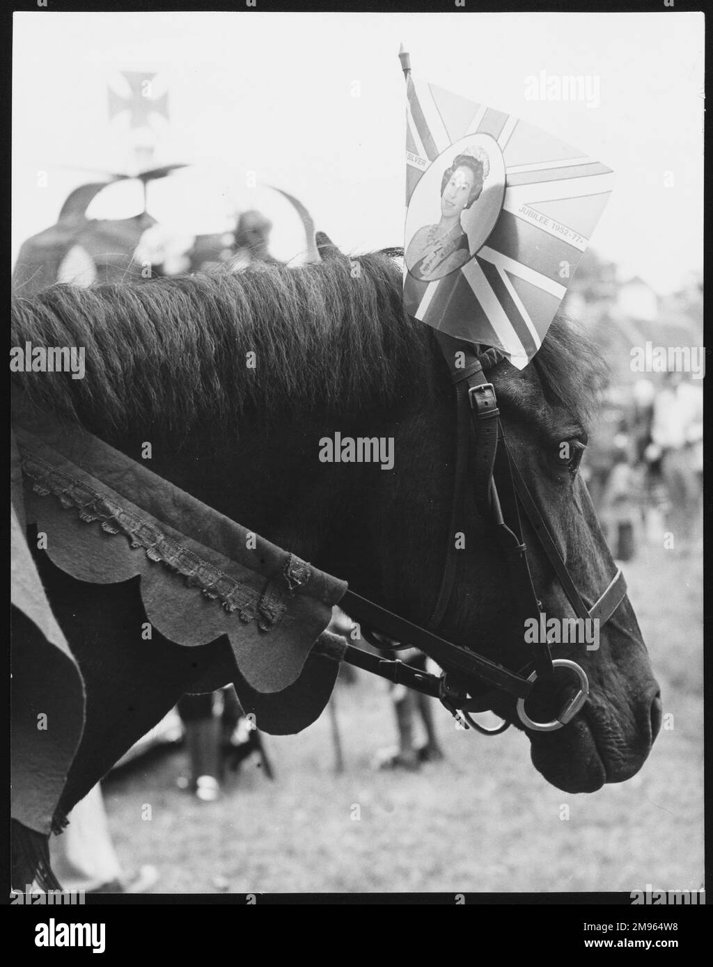 Un cavallo patriottico che indossa una bandiera del Giubileo d'argento con una fotografia della Regina Elisabetta II! Foto Stock