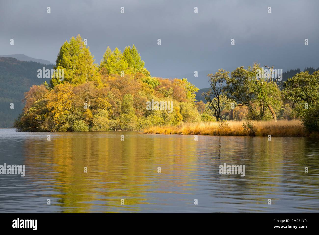 Loch Chon in autunno, Loch Lomond e Trossachs National Park, Scozia Foto Stock