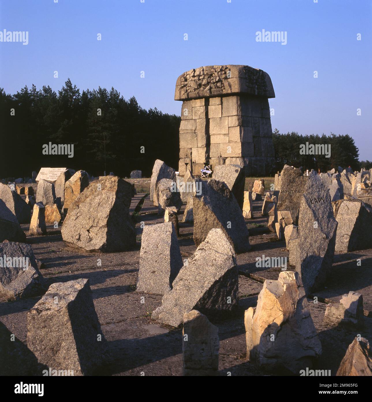 Il campo di Treblinka si trovava a 100km km a nord-est di Varsavia. Ogni pietra del sito rappresenta una città o città ebraica, la cui popolazione è stata sterminata al campo Foto Stock