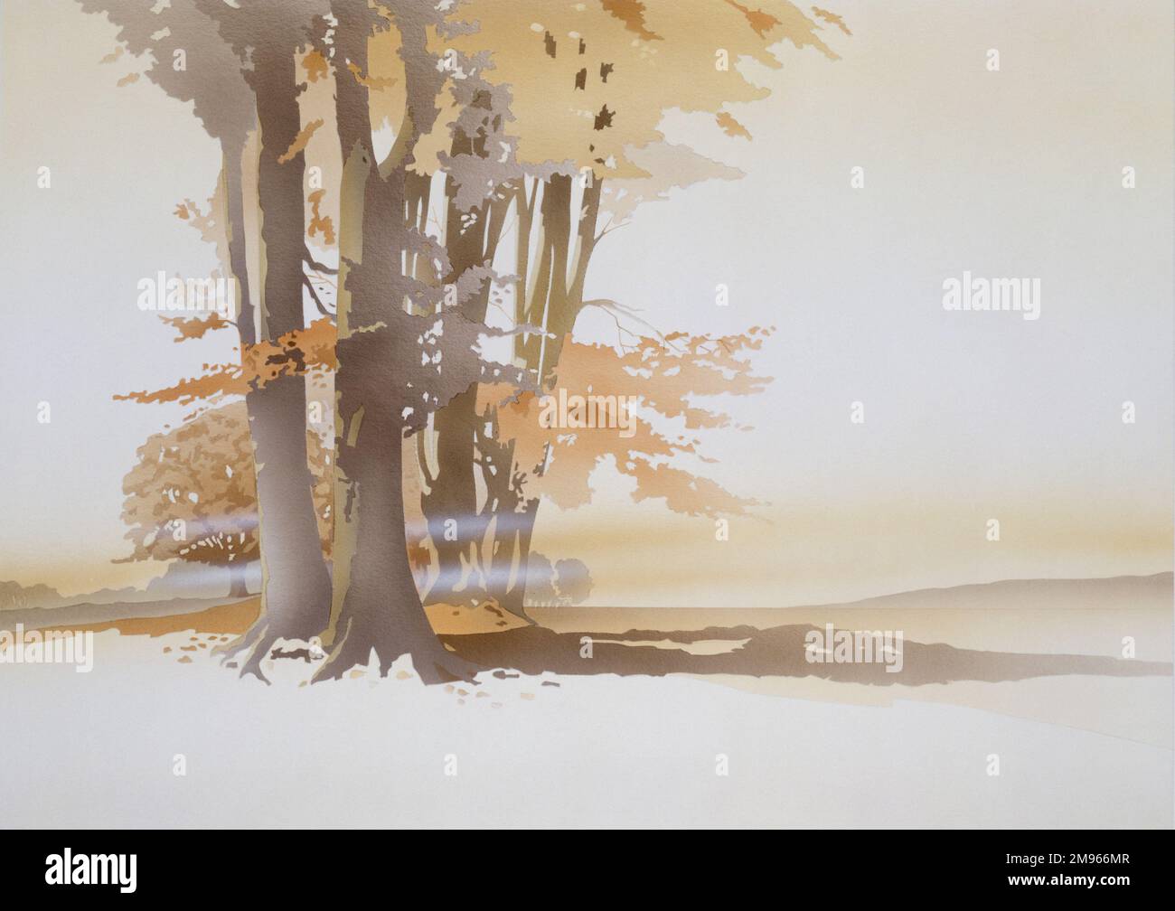 Una bassa nebbia splende nella luce autunnale che proietta fasci di arancio e giallo attraverso i rami e alti tronchi di un piccolo legno. Dipinto di Malcolm Greensmith Foto Stock