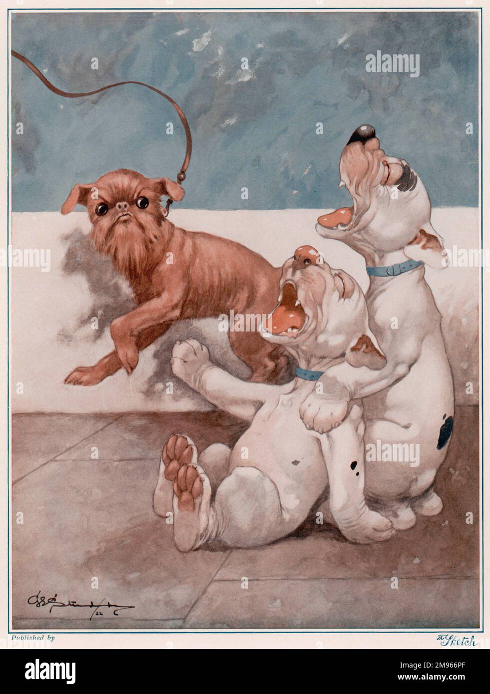 Bonzo e suo fratello individuano un re Beaver. Bonzo, la creazione comica canina di George Studdy ruggisce (o gialle) con risate a una razza di cane Griffon che passa. Bene, hanno facce piccole molto strane. La linea di credito deve essere: ©Estate of George Studdy/Gresham Marketing Ltd./Mary Evans Foto Stock