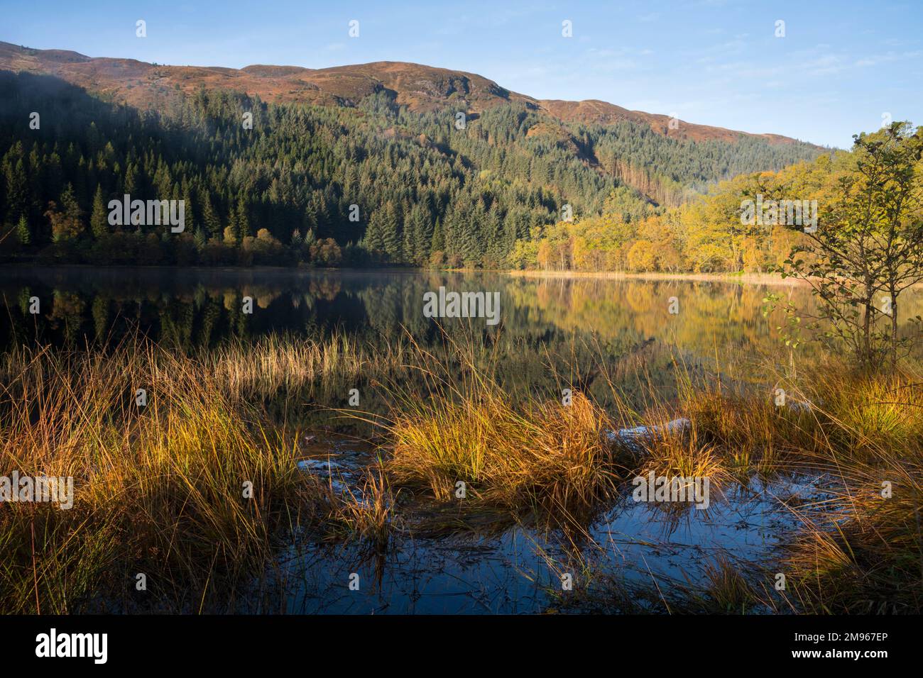 Loch Chon, Loch Lomond e Trossachs National Park, Scozia Foto Stock