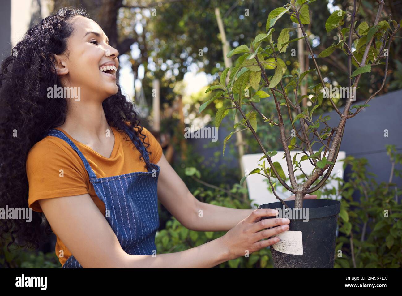 Im soddisfatto dei progressi. una giovane fiorista che lavora in un vivaio. Foto Stock