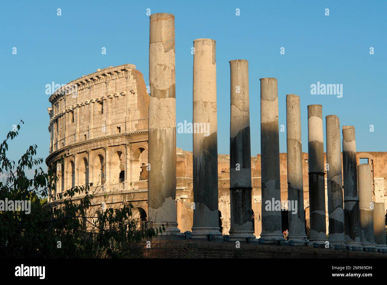 Vista del Colosseo (a sinistra), con una fila di pilastri romani in primo piano, Roma, Italia. Completato nel 80 d.C., l'anfiteatro del Colosseo fu la sede principale di Roma per le gare gladiatoriali e altri spettacoli pubblici, tra cui l'esecuzione di criminali, e poteva ospitare 50.000 spettatori. Foto Stock