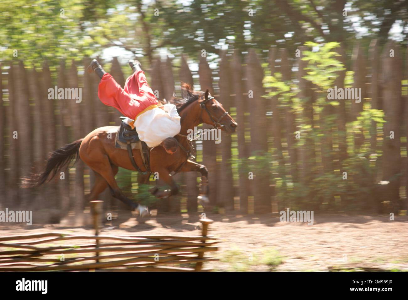 Un cossack in costume tradizionale cavalcando un cavallo con abilità atletica durante uno spettacolo, Khortytsaya Island, Zaporozhye, Ucraina. Foto Stock