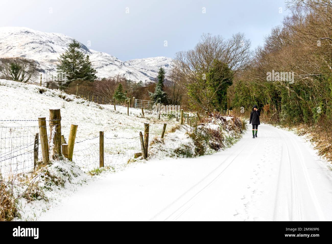 Ardara, Contea di Donegal, Ireland Weather. 17th gennaio 2023. Una donna che cammina mentre la neve continua a cadere nella contea nord-occidentale. Foto Stock