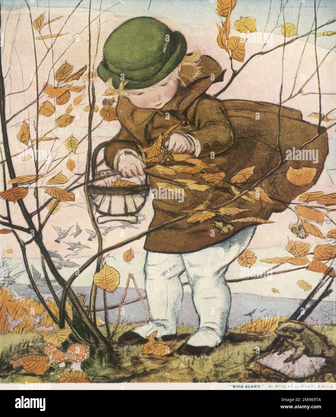Una bambina in un cappotto e cappello raccoglie le noci dai rami di un albero che sta rapidamente perdendo le sue foglie nella brezza autunnale. Foto Stock