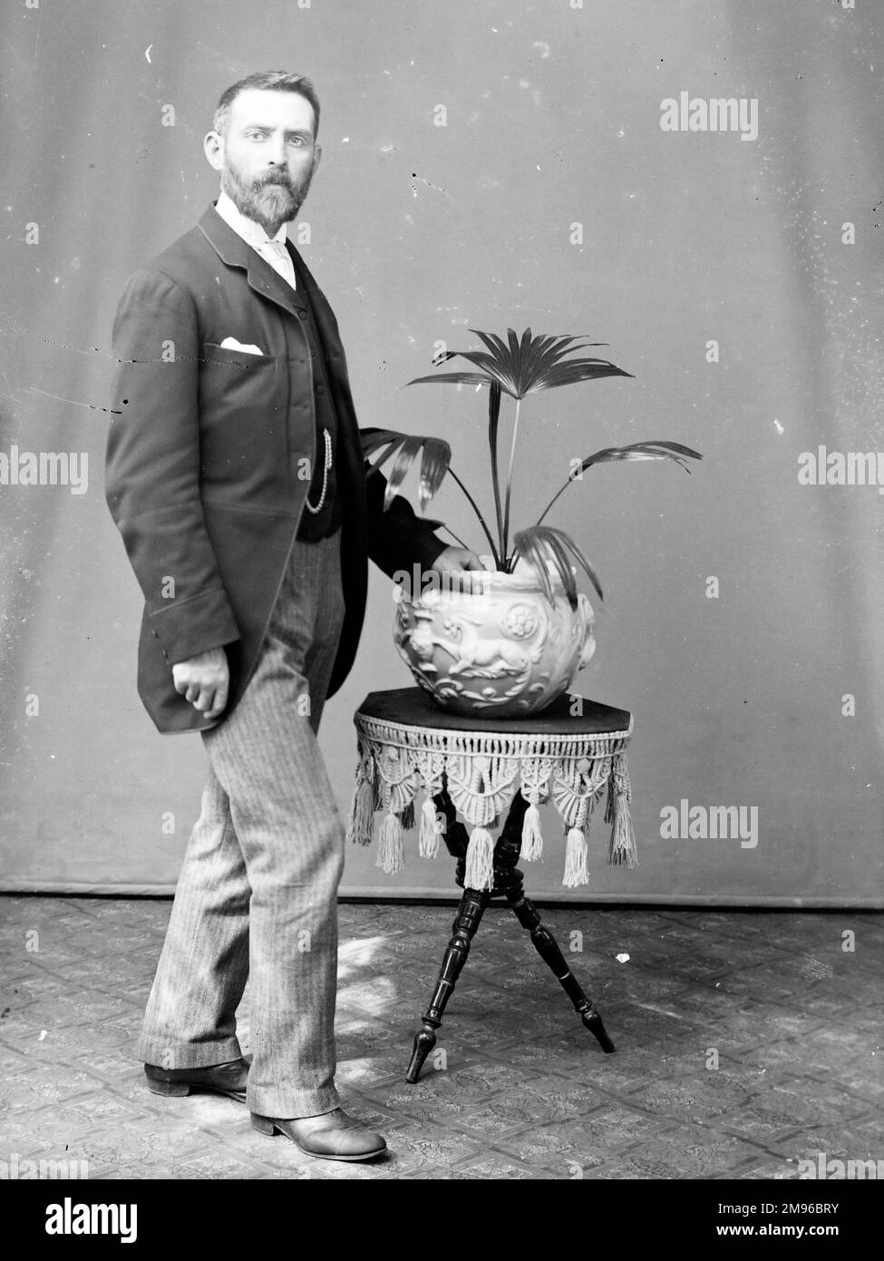 Un uomo di mezza età posa nello studio del fotografo, il Galles centrale, con una palma in vaso su un tavolo. Foto Stock