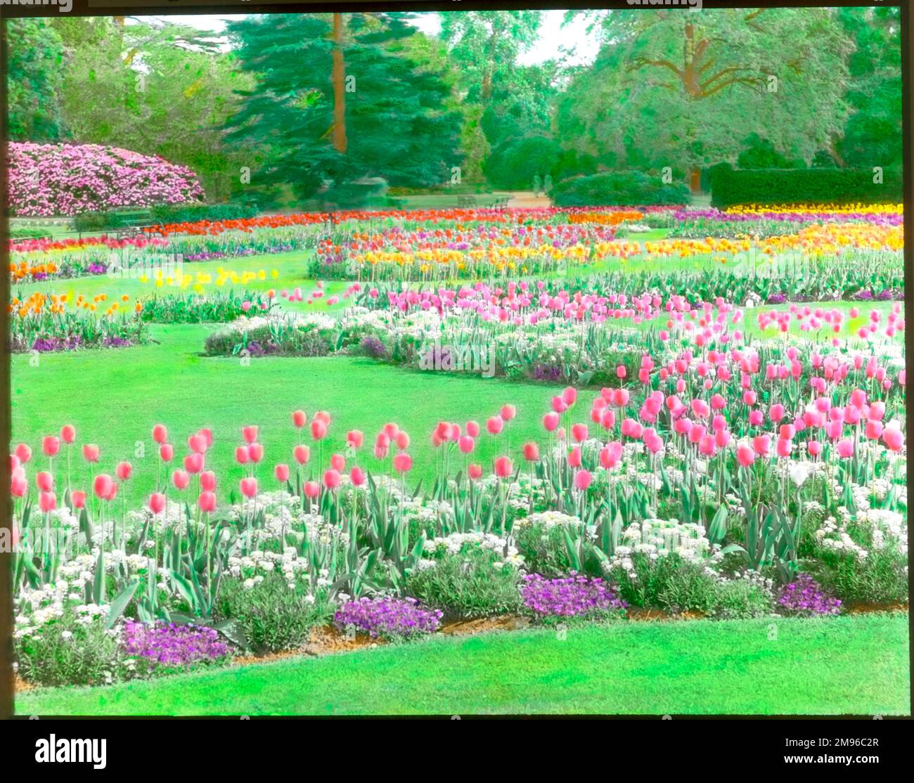 Una colorata esposizione di tulipani e altre piante e fiori al Kew Gardens, West London. Foto Stock