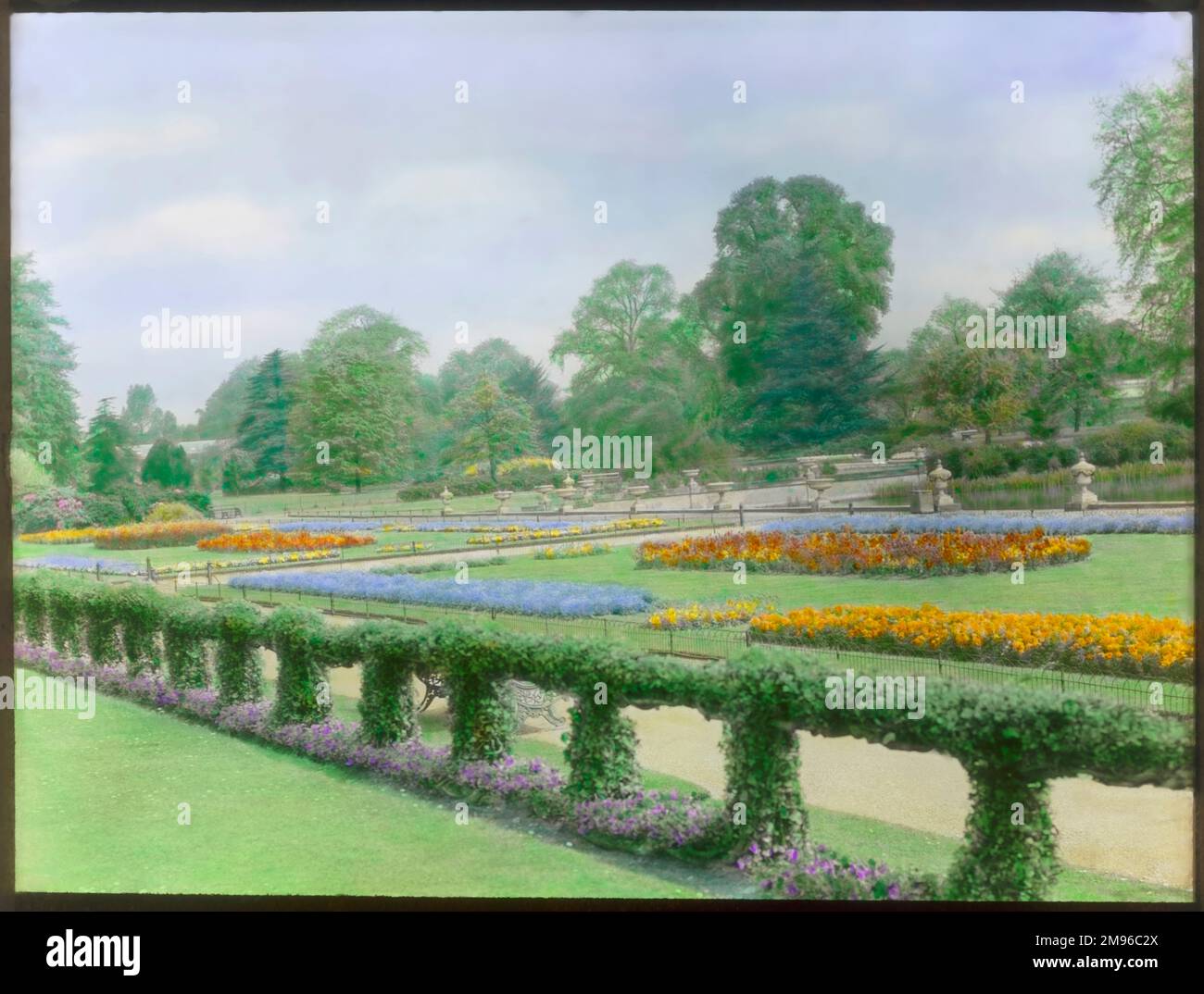 Letti primaverili con alberi sullo sfondo a Kew Gardens, West London. Foto Stock