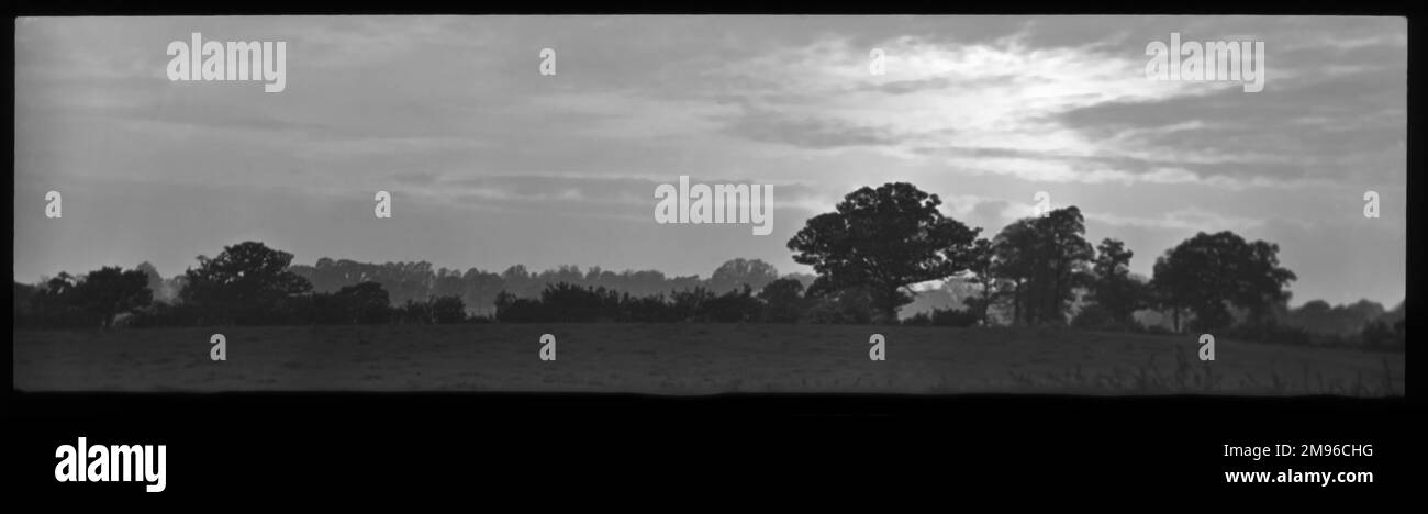 Un paesaggio panoramico con alberi all'orizzonte, vicino al villaggio di Coopersale, Epping, Essex. Foto Stock