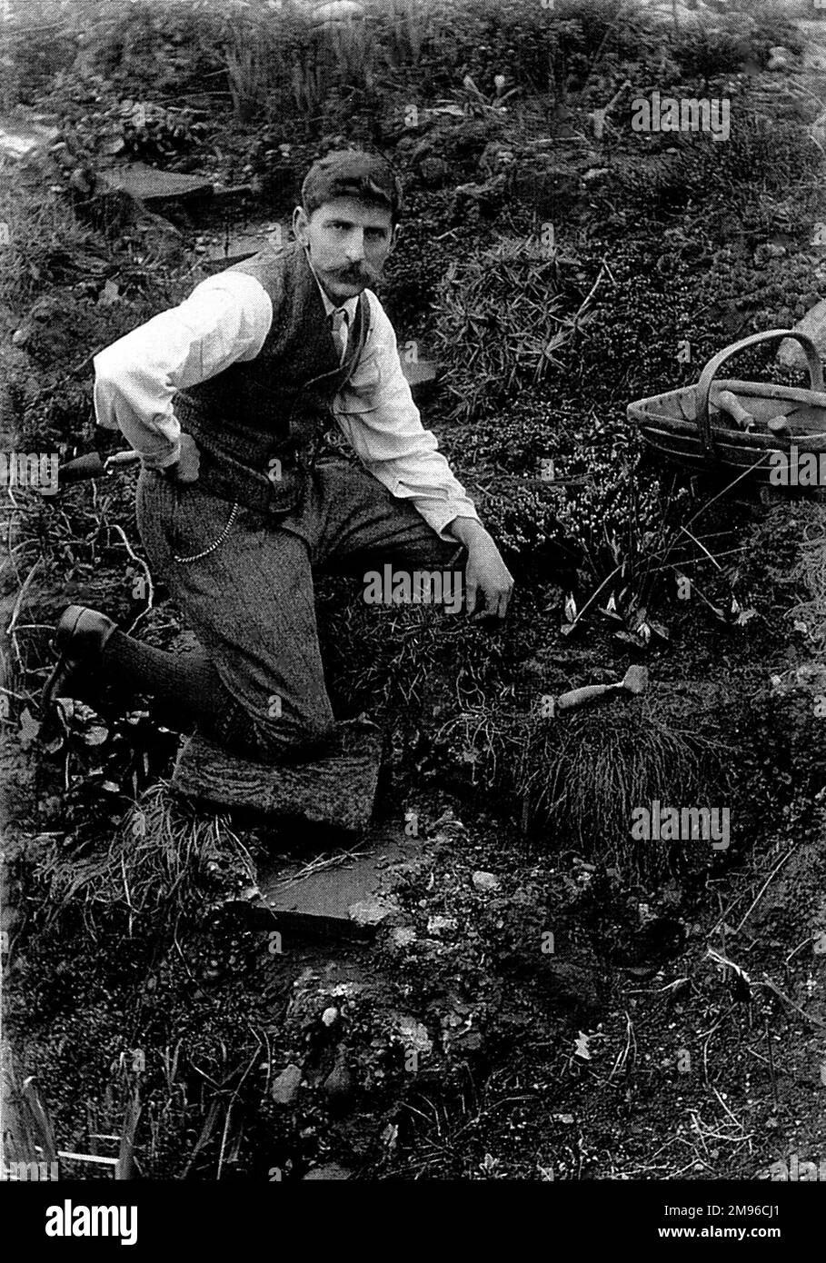 Reginald Malby (1882-1924), fotografo ufficiale della Royal Horticultural Society, che lavora nel suo giardino. Foto Stock