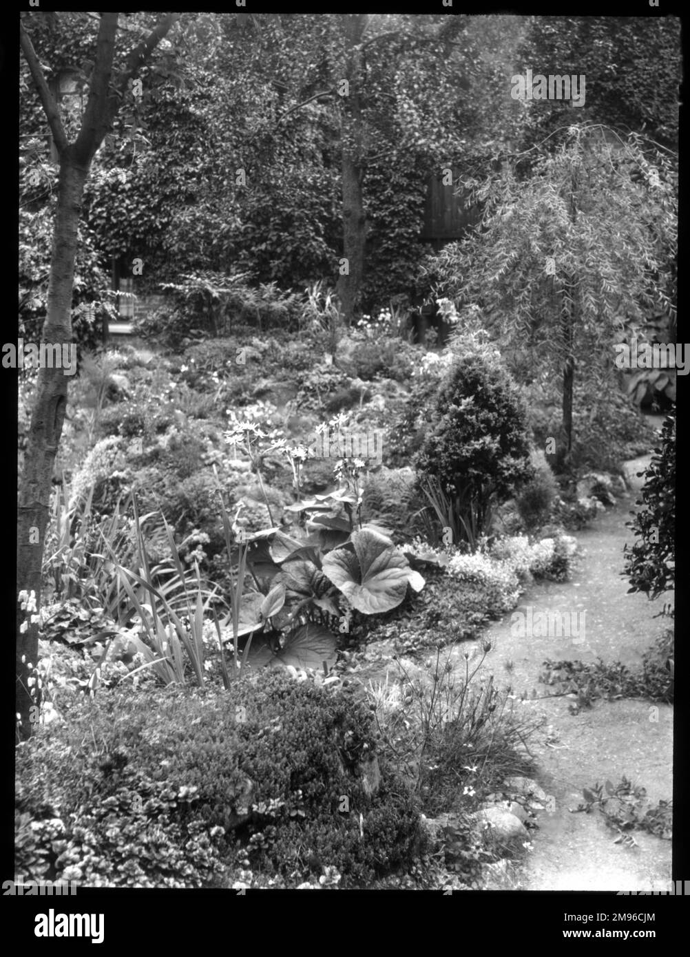 Una vista sul giardino di Reginald Malby in estate (agosto), con vari fiori, arbusti e alberi. Foto Stock