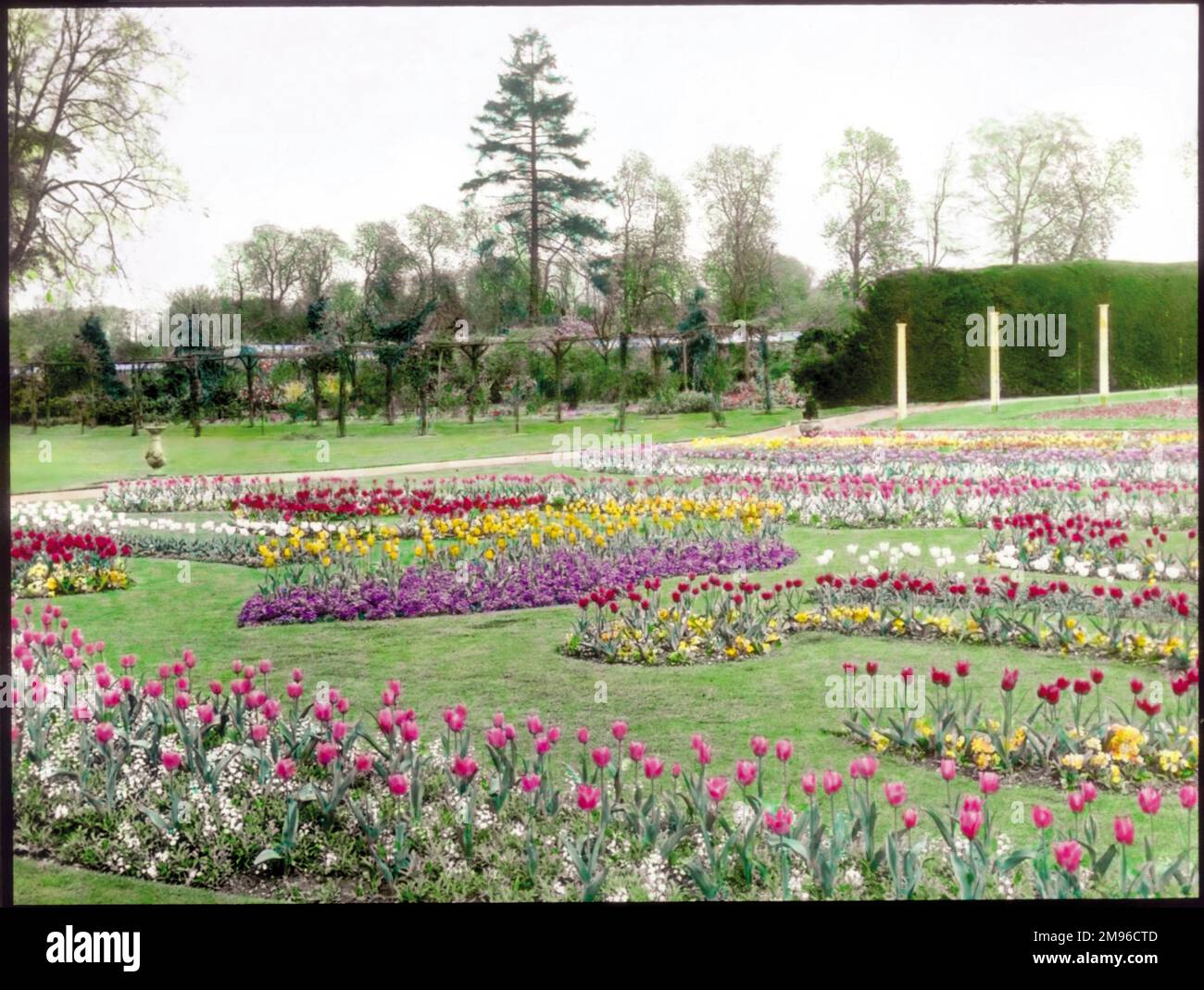 Vista sui giardini del villaggio di Tewin, vicino a Welwyn Garden City, Hertfordshire, che mostra molte sfumature di tulipani che crescono in una zona aperta e erbosa. Foto Stock