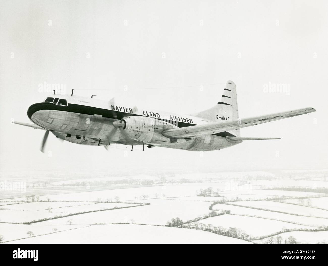 Napier Eland aereo di linea G ANVP un Convair liner 340 in volo su Bedfordshire Agosto 1956 Foto Stock