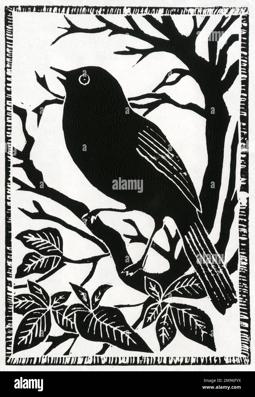 Un uccello nero canta mentre appollaiato su un ramo Foto Stock