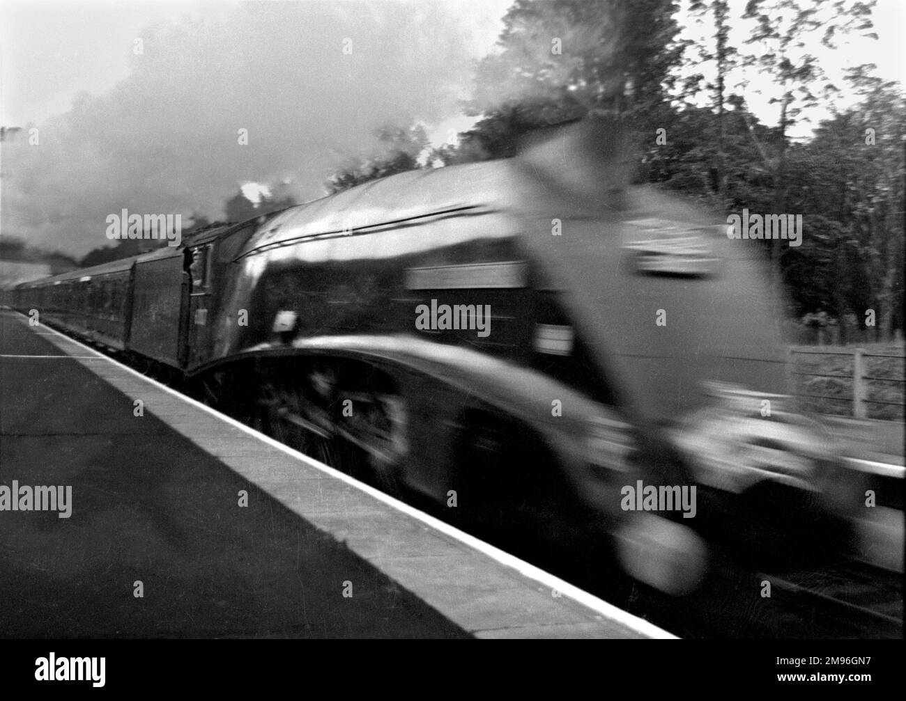 Treno a vapore che viaggia ad alta velocità attraverso una stazione. Foto Stock