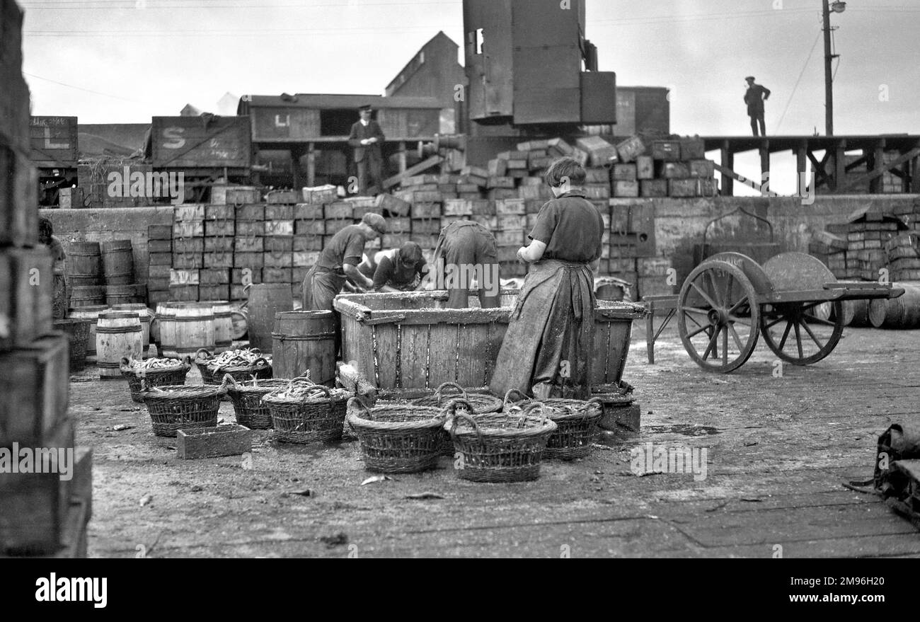 Persone che lavorano in una pesca, la trasformazione del pesce prima della vendita. Foto Stock