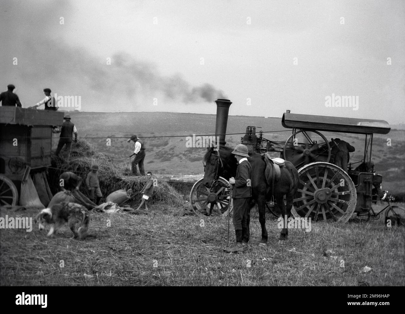 Persone che lavorano con l'aiuto di un trattore a vapore. Foto Stock