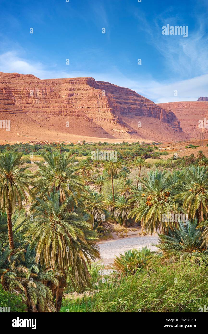 Paesaggio della Valle di Ziz, Marocco, Africa Foto Stock