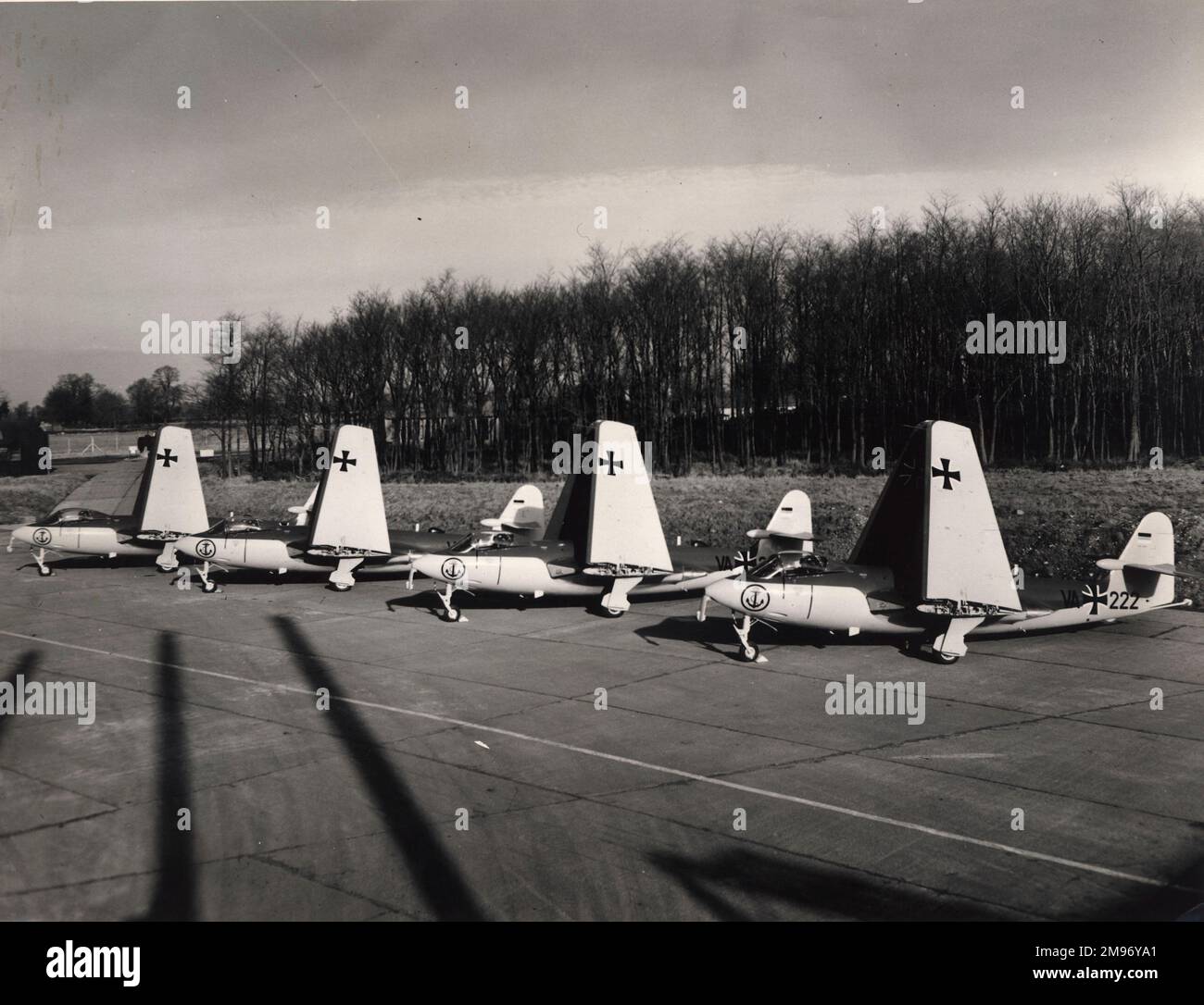 Una linea di West German Navy Hawker Sea Hawk 100s con ali ripiegate. Foto Stock