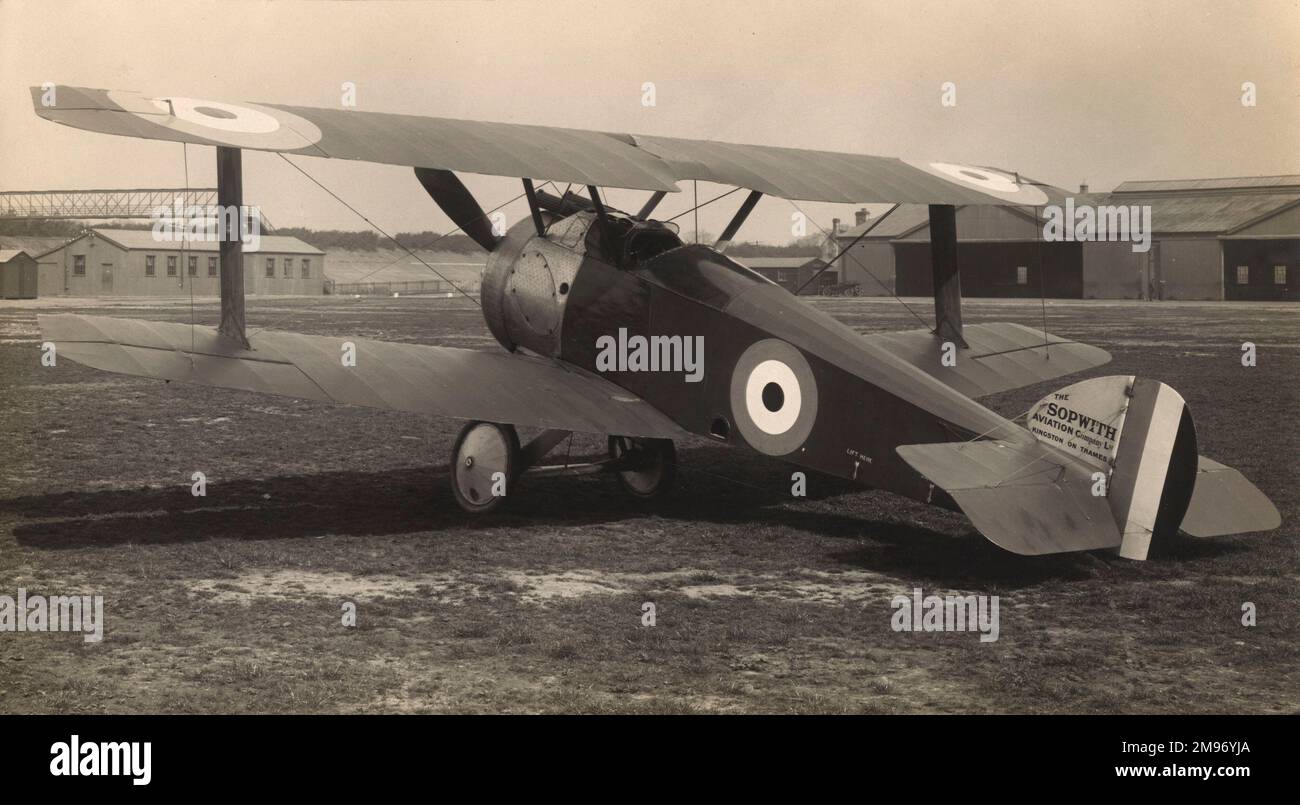 Sopwith F1/1 "Camel ad ala conica". Foto Stock