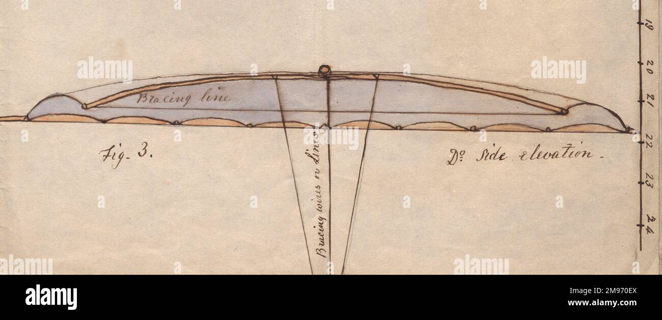 Vista laterale di 56002274 che mostra la curvatura delle nervature di estremità e della superficie alare nel flusso d'aria. Parte 2. Foto Stock