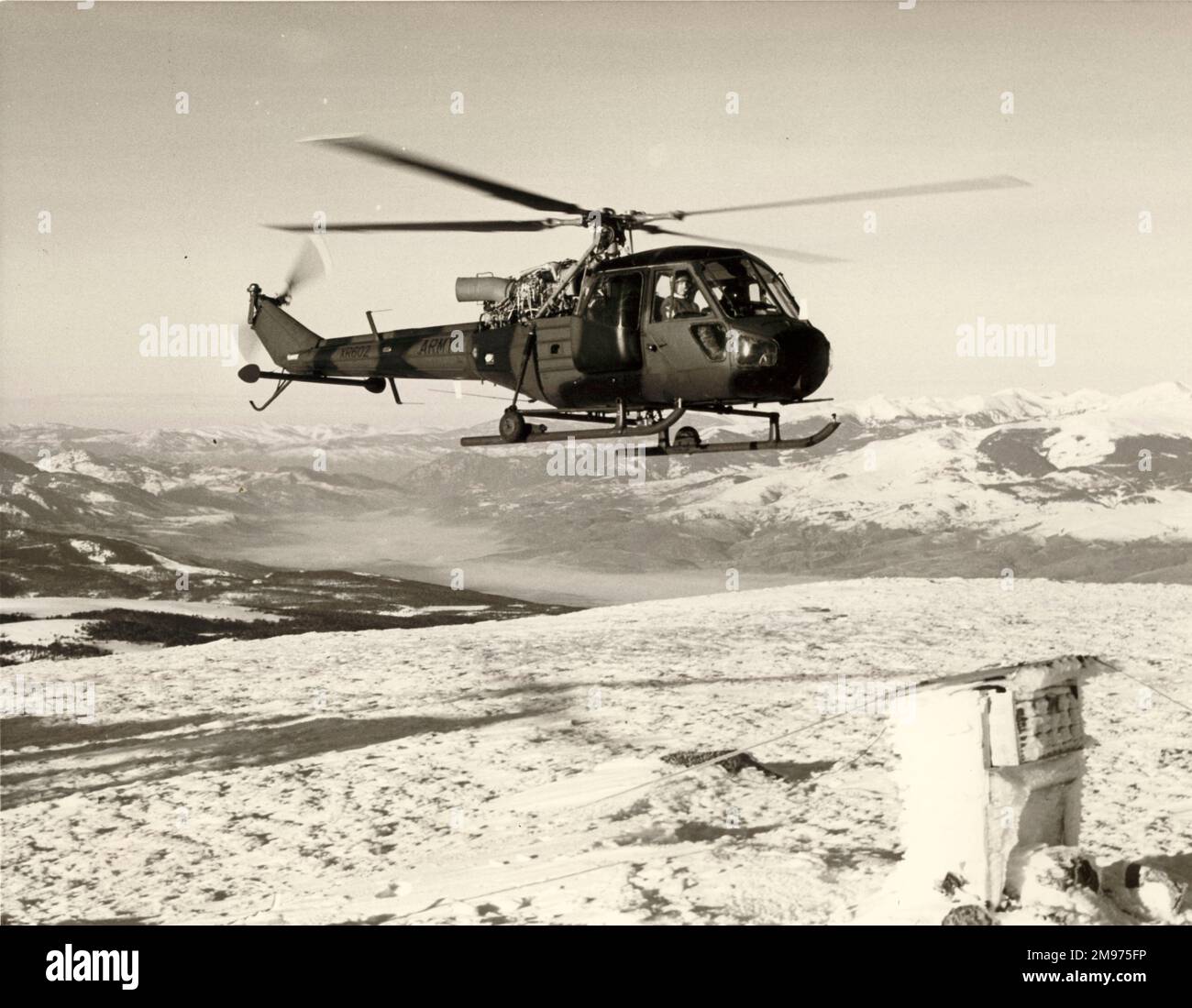Westland Scout AH1 di 653 Squadron Army Air Corps durante Eccise Horn becco nei Pirenei francesi. Gennaio 1974. Foto Stock