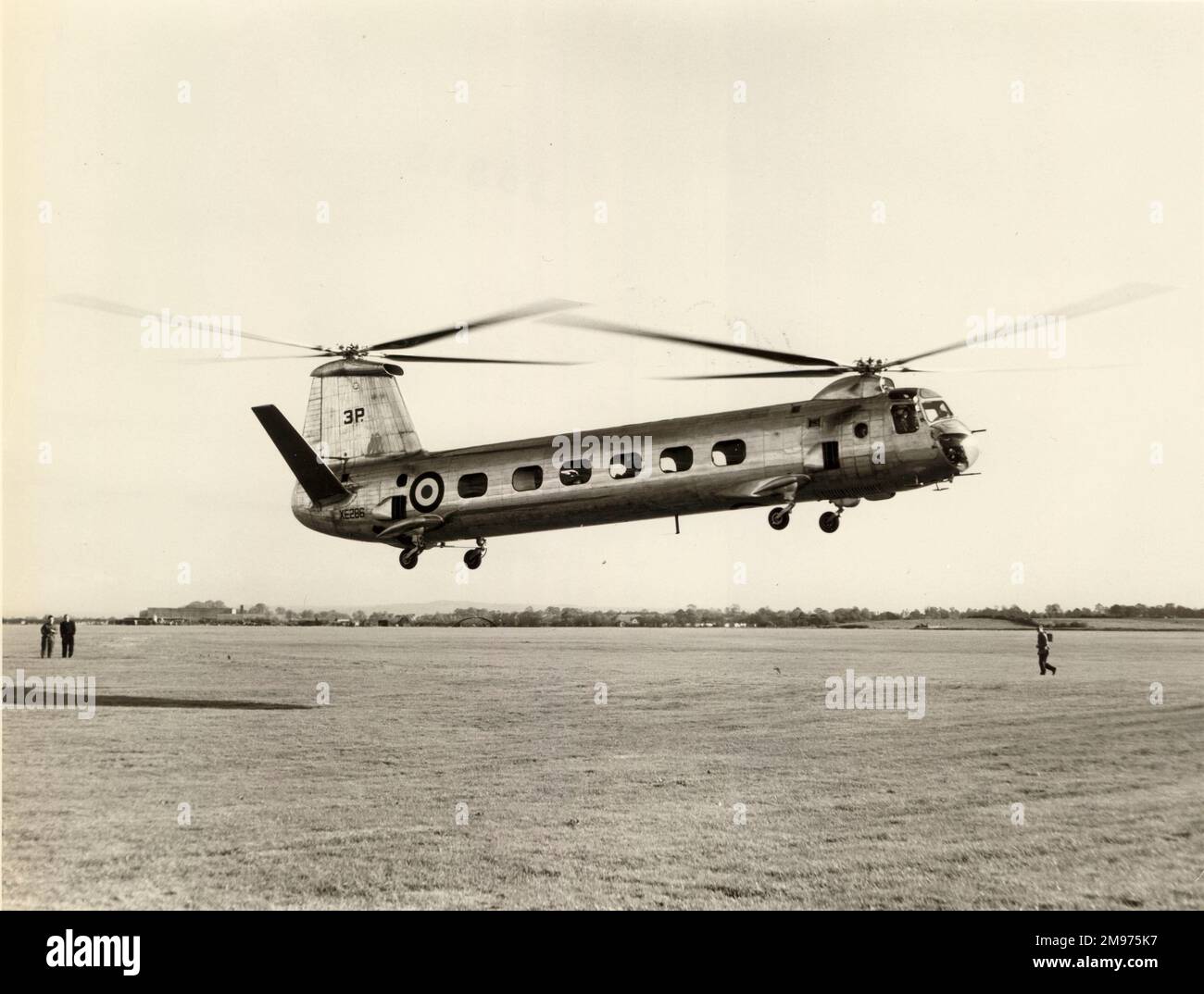 Bristol 173/3, XE286, che si trova a Old Mixon nel novembre 1956. Foto Stock