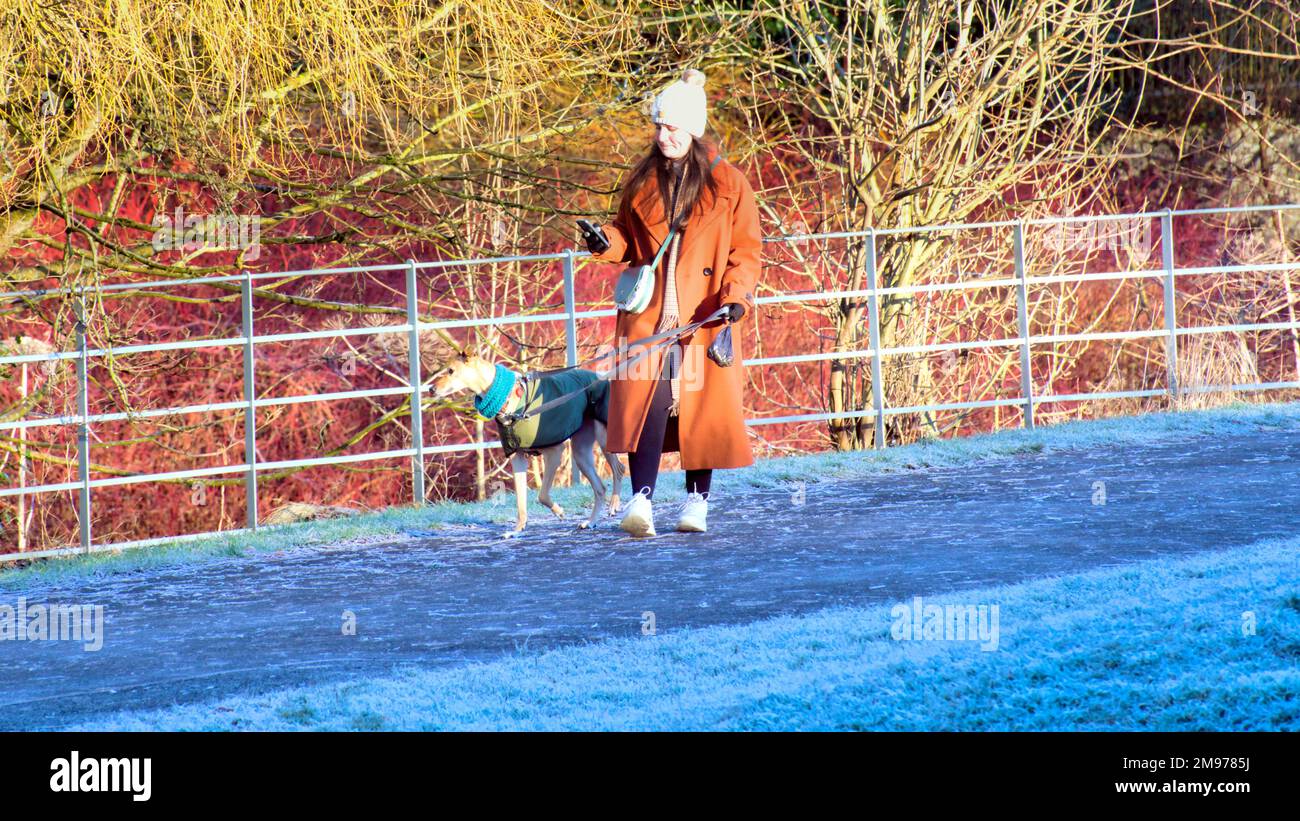 Glasgow, Scozia, Regno Unito 17th gennaio 2023. UK tempo: Freddo cielo chiaro ha visto un inizio molto freddo con la promessa di peggio per venire come la gente si è svegliata ad un wonderland di inverno e ad un Kelvingrove parco molto freddo cane camminatori . Credit Gerard Ferry/Alamy Live News Foto Stock