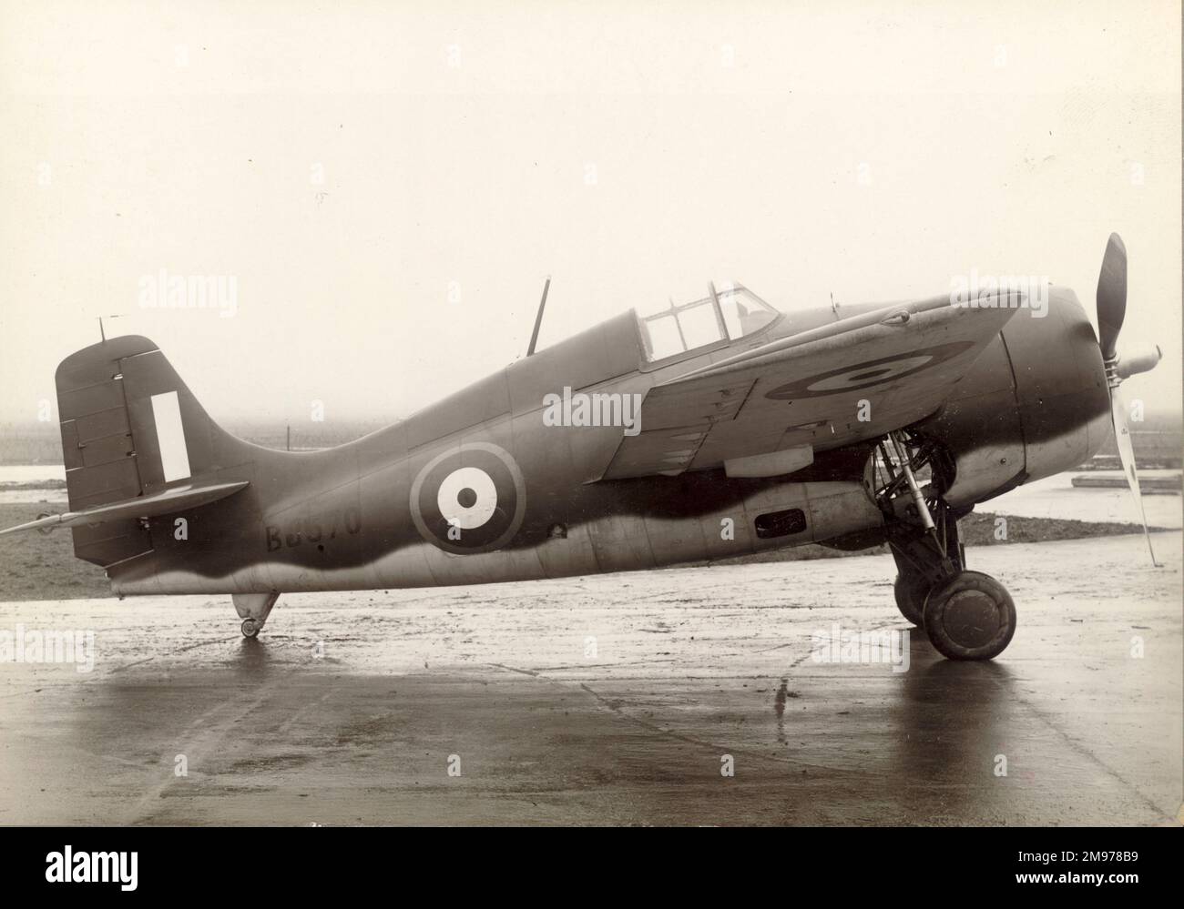 Grumman Martlet i, BJ570. Foto Stock